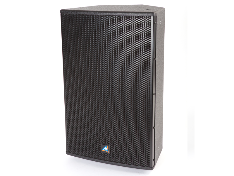 10" Passive Speaker - 250 Watts (XDS10)